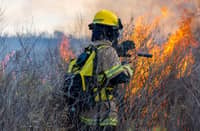 Eleven dead, 19 missing as wildfire roars through village