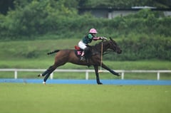 Eusebio-Fulgencio boosts Phl polo
with MVP honor