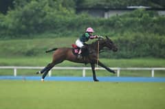 Eusebio-Fulgencio boosts Phl polo
with MVP honor