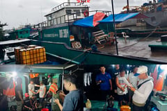 CIDG seizes P17.2M in fuel, arrests 4 in Malabon anti-pilferage raid