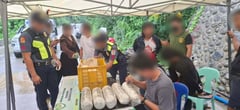 Two arrested as authorities seize P600,000 worth of marijuana in Ilocos Sur ops