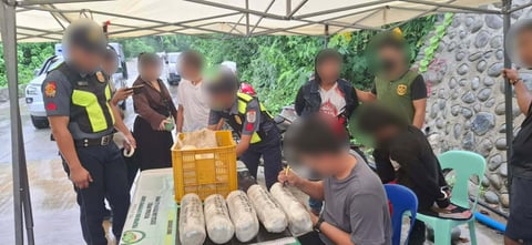 Two arrested as authorities seize P600,000 worth of marijuana in Ilocos Sur ops