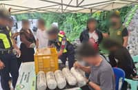 Two arrested as authorities seize P600,000 worth of marijuana in Ilocos Sur ops