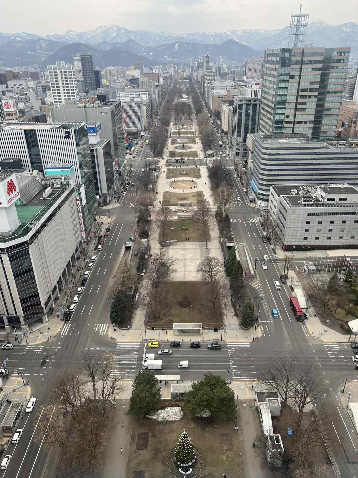 VIEW from the top of Sapporo Sky Tower overlooking the Odori Park in the foreground and the mountains in the background, which include Mt. Moiwa, Mt. Maruyama and Mt. Teine.