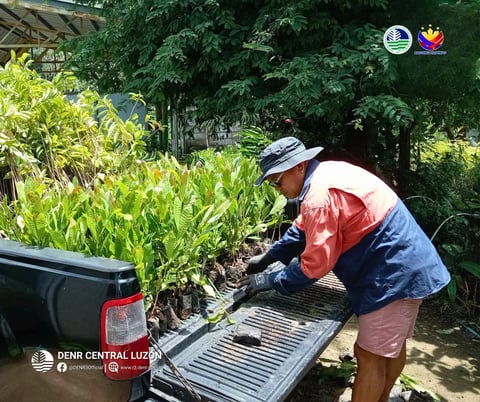 13,000 seedlings distributed for Bataan reforestation efforts