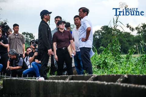 Flood control funding needs reinstatement — analyst