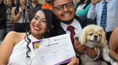 Pets serve as weddings witnesses