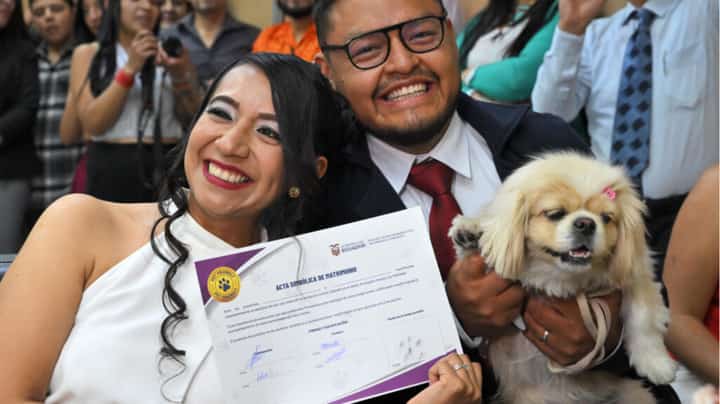 Pets serve as weddings witnesses