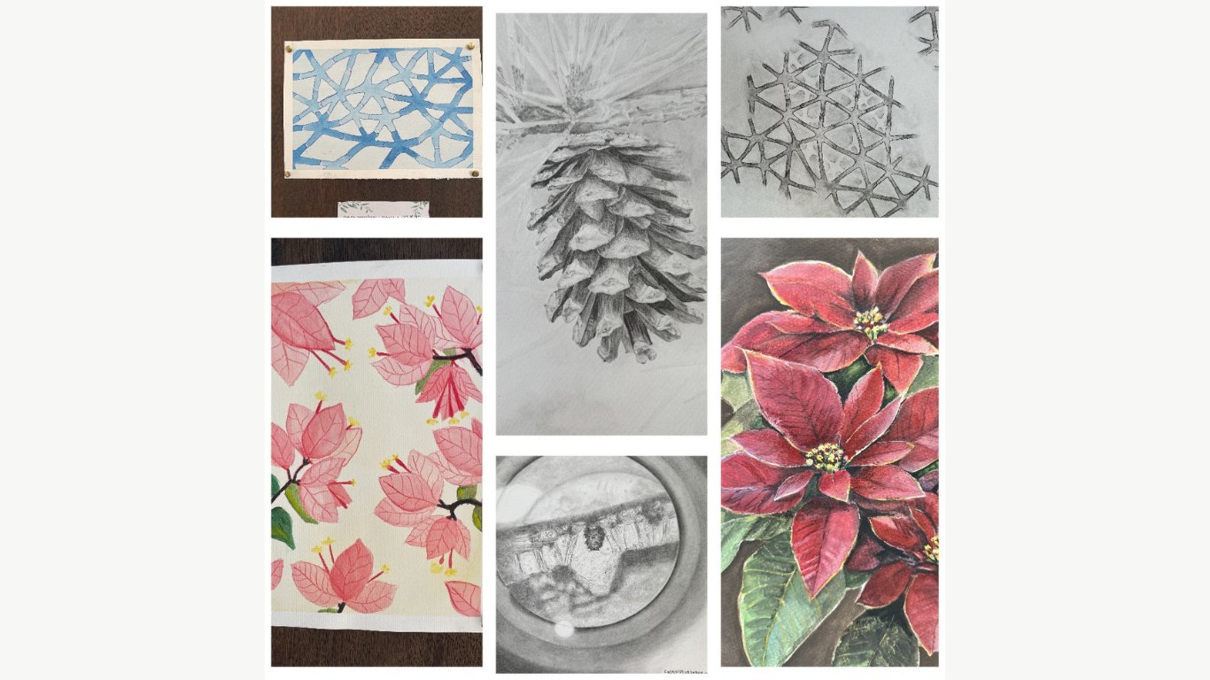 Biology students explore plant morpho-anatomy through art
