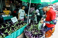 A customer selects eggplants at a public market in Manila. The Department of Agriculture said vegetable supplies remain stable despite heavy rains and flooding caused by typhoon 'Inday' and the enhanced southwest monsoon.