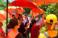 INSTRUCTOR Dr. Floro Catanyag (2nd from right with mike) briefs farmer-trainees on cacao-coconut intercropping technique at the Villar Foundation Farm School and Tourist Farm.