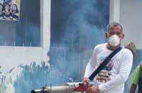 Chikungunya cases in Samar climb to 259