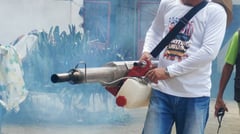 Samar chikungunya cases spike past 250