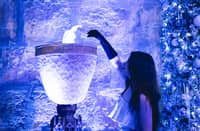 Whose name will be picked from the Goblet of Fire for the TriWizard Competition