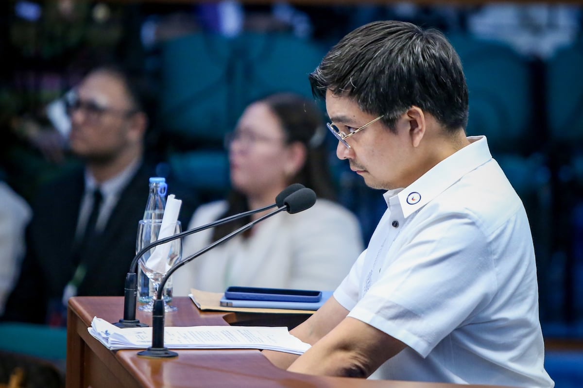 NBI witness: We fail to validate hitman’s details