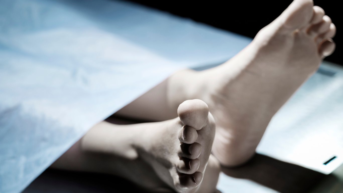 American marine biologist shot dead