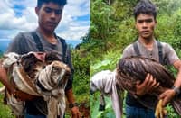 ENVIRONMENTAL responders prepare the rescued Philippine Eagle for transport to a rehabilitation facility following its recovery by a resident in Malaybalay City, Bukidnon. The resident successfully dispersed a horde of aggressive monkeys to save the critically endangered raptor, which was found weak and unable to fly.