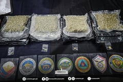 P10.15M high-grade marijuana intercepted in Clark