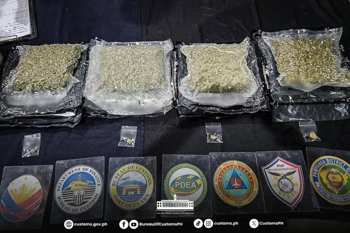 P10.15M high-grade marijuana intercepted in Clark