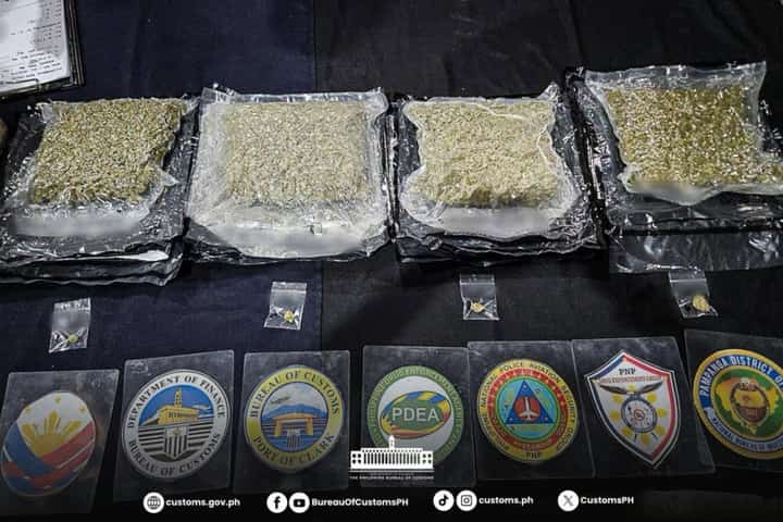 P10.15M high-grade marijuana intercepted in Clark