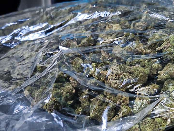BOC seizes over P10.15 million worth of marijuana at Port of Clark