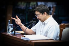 NBI witness: ‘Oplan Romanov’ kill plot vs Sara originated from Baste; target was Marcos