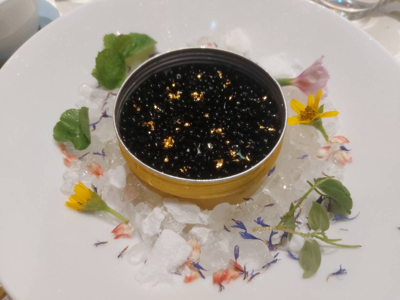 Chilled Yunnan White Coffee Panna Cotta with Espresso Caviar