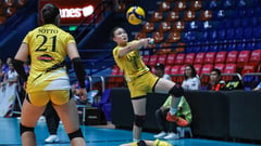 UST sweeps elims, bags top semis spot