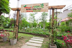Sustainability in Action: Meralco expands urban farms, plants thousands of trees