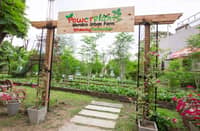 NURTURING sustainability. Meralco continues to nurture sustainability from within the organization through its PowerPlants Urban Farming Program.