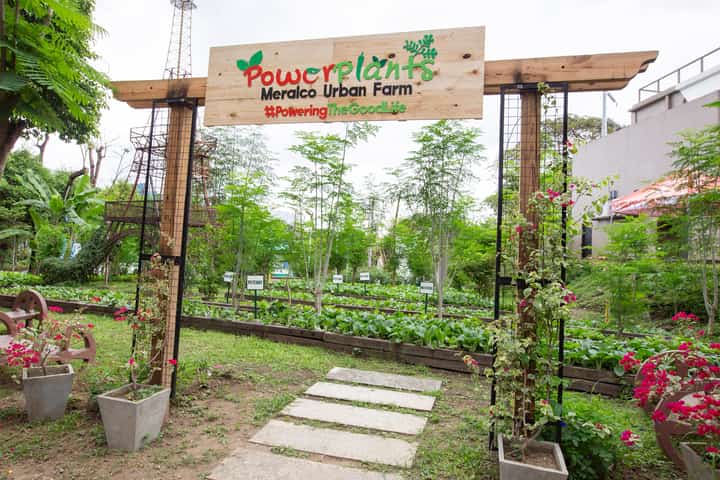 Sustainability in Action: Meralco expands urban farms, plants thousands of trees