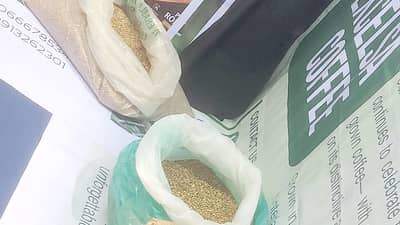 Coffee beans from all over the Philippines and the world are highlighted at the festival.