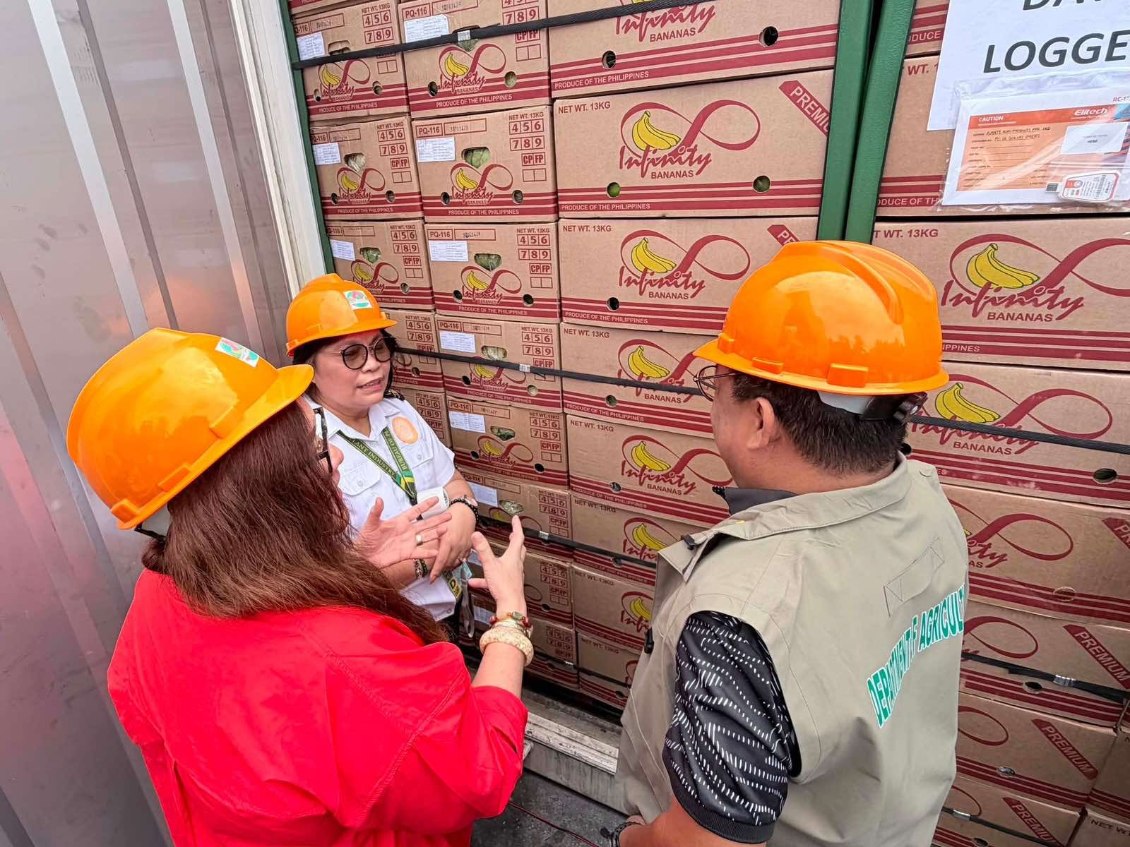 Philippine saba bananas win New Zealand market

