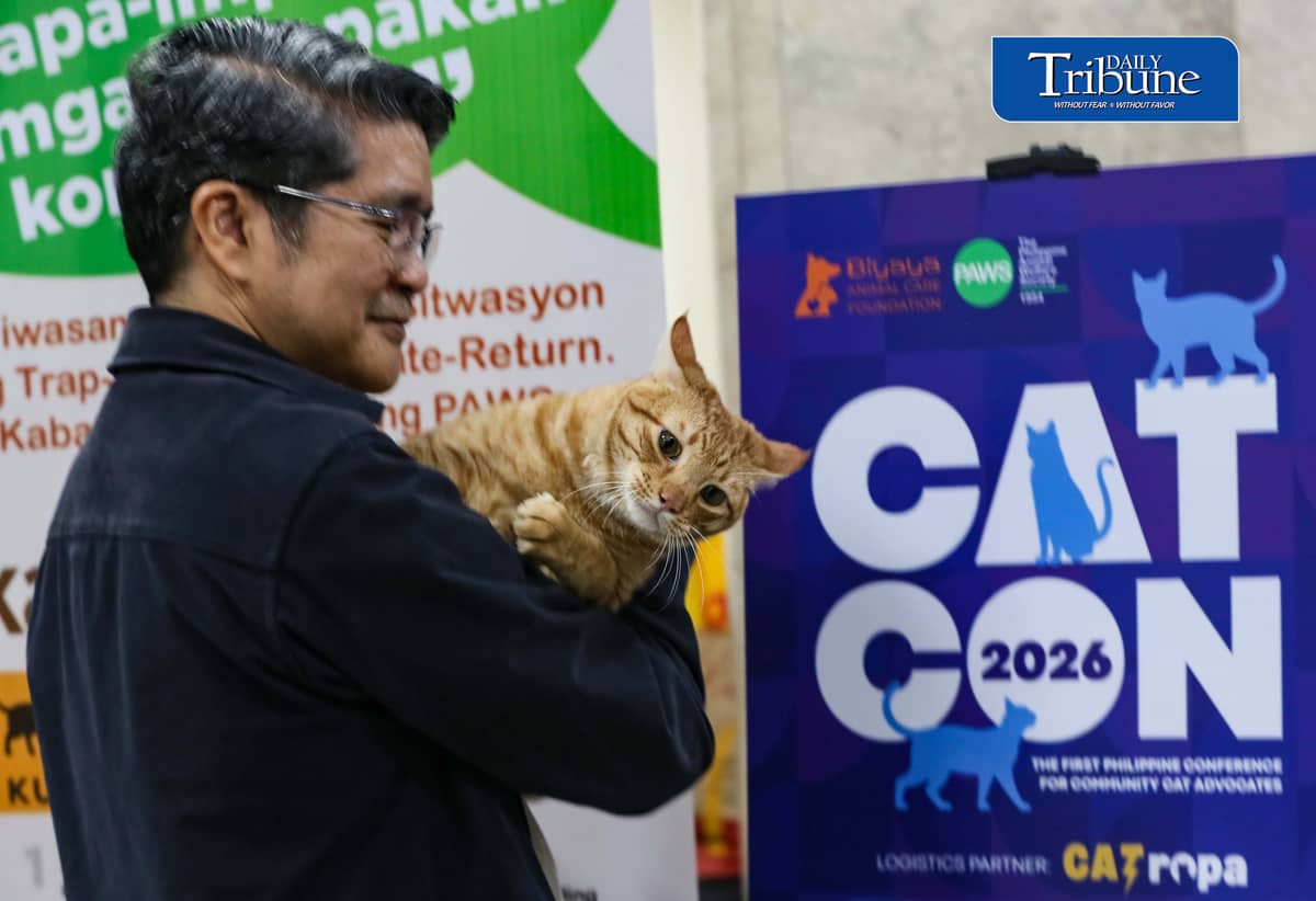 (July 18 2026)  At the event a personnel hold a cat name Cosmos and two other Bazu and Rajan they found them near flower pot and at the trash can those cats is for adoption, during the CATCON 2026 attended by the Veterinarians lawyers,  Animal welfare advocates leaders and caregivers, the event tackled on how compassion and law work together to create safer for communities for both people and cats. The event also showcases rescued cats up for adoption from attending participants, held at the MERALCO head office in Pasig. July 18, 2026. Photo/Analy Labor