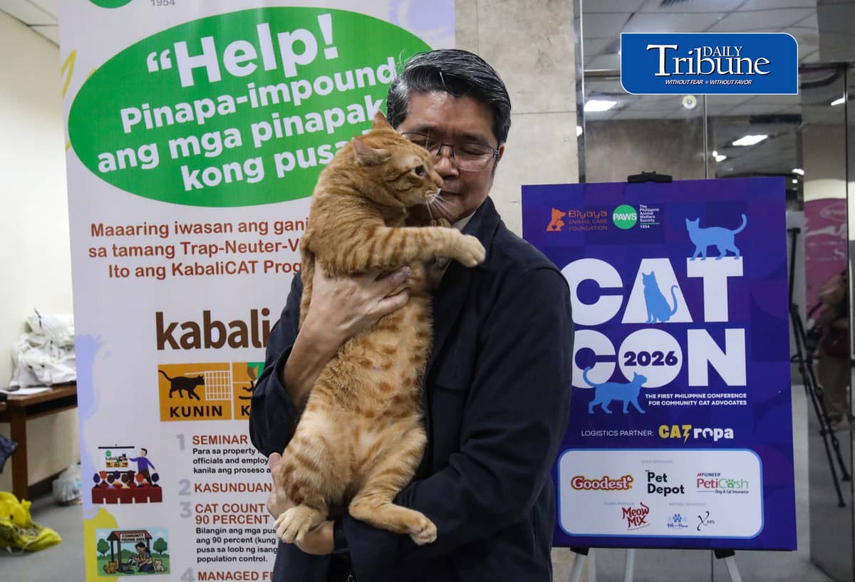 (July 18 2026)  At the event a personnel hold a cat name Cosmos and two other Bazu and Rajan they found them near flower pot and at the trash can those cats is for adoption, during the CATCON 2026 attended by the Veterinarians lawyers,  Animal welfare advocates leaders and caregivers, the event tackled on how compassion and law work together to create safer for communities for both people and cats. The event also showcases rescued cats up for adoption from attending participants, held at the MERALCO head office in Pasig. July 18, 2026. Photo/Analy Labor