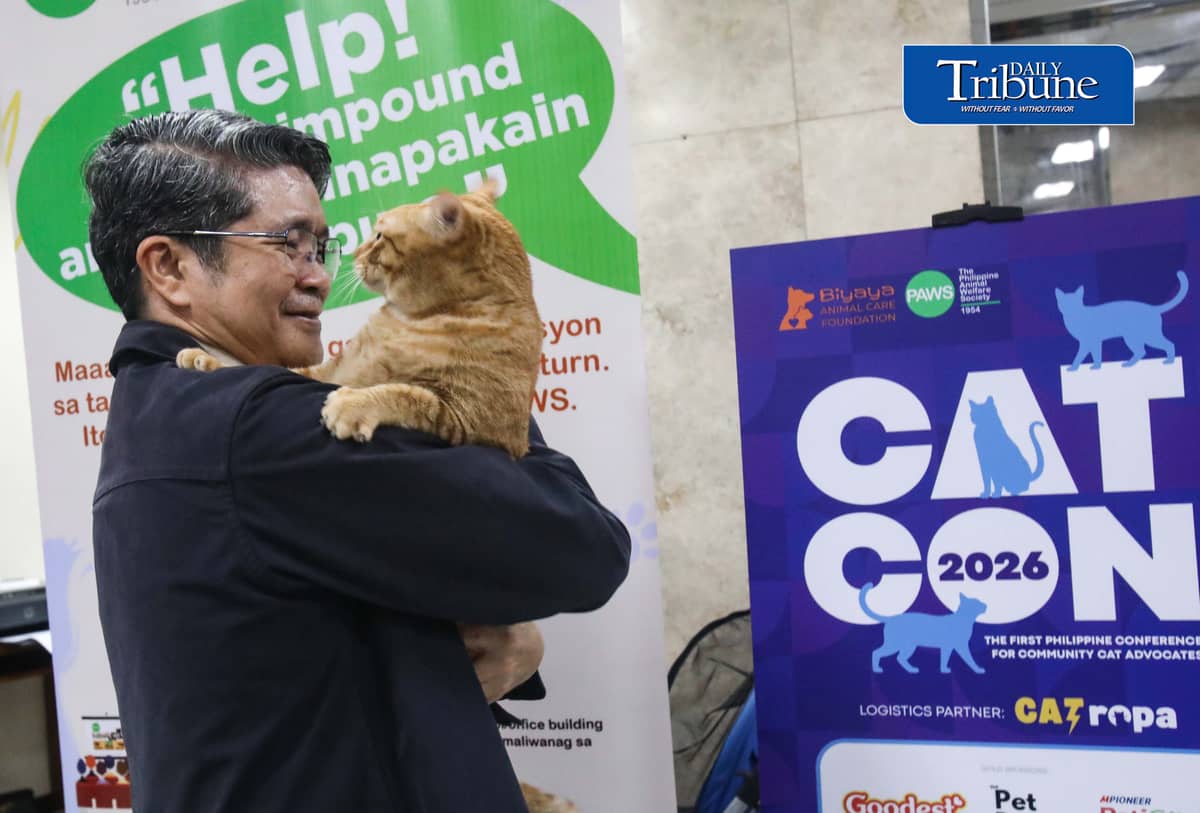 (July 18 2026)  At the event a personnel hold a cat name Cosmos and two other Bazu and Rajan they found them near flower pot and at the trash can those cats is for adoption, during the CATCON 2026 attended by the Veterinarians lawyers,  Animal welfare advocates leaders and caregivers, the event tackled on how compassion and law work together to create safer for communities for both people and cats. The event also showcases rescued cats up for adoption from attending participants, held at the MERALCO head office in Pasig. July 18, 2026. Photo/Analy Labor