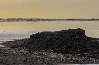 Reclamation site is seen along CAVITEX