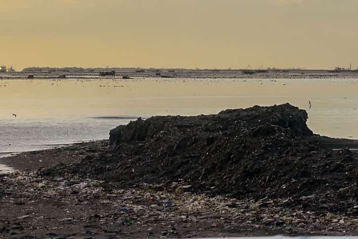 Reclamation site is seen along CAVITEX
