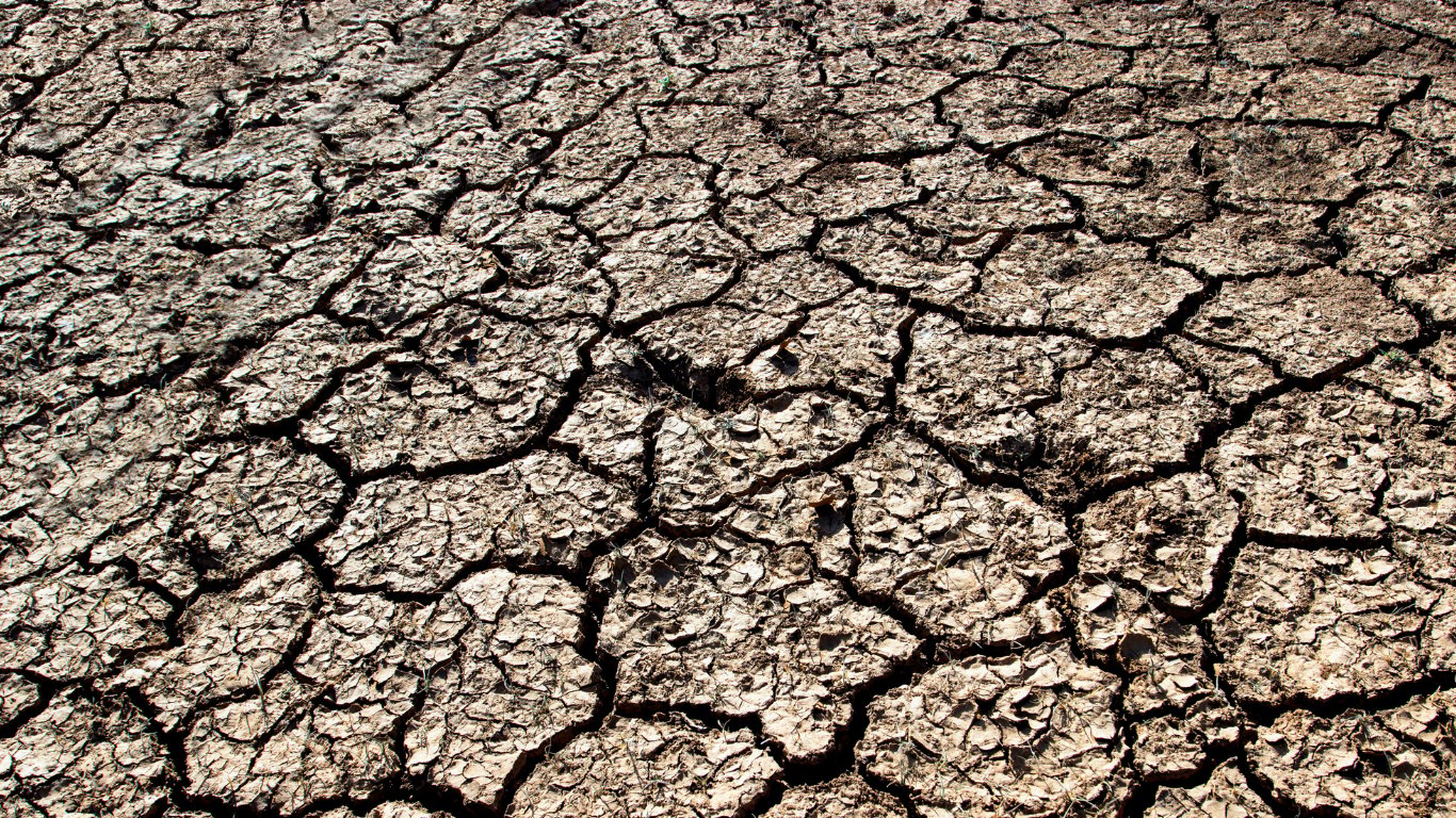NIA halts rice planting