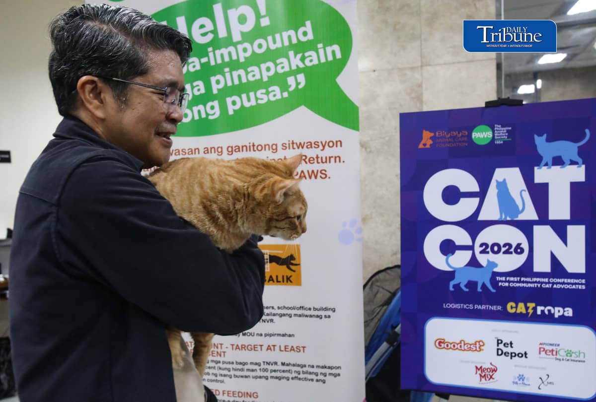 (July 18 2026)  At the event a personnel hold a cat name Cosmos and two other Bazu and Rajan they found them near flower pot and at the trash can those cats is for adoption, during the CATCON 2026 attended by the Veterinarians lawyers,  Animal welfare advocates leaders and caregivers, the event tackled on how compassion and law work together to create safer for communities for both people and cats. The event also showcases rescued cats up for adoption from attending participants, held at the MERALCO head office in Pasig. July 18, 2026. Photo/Analy Labor