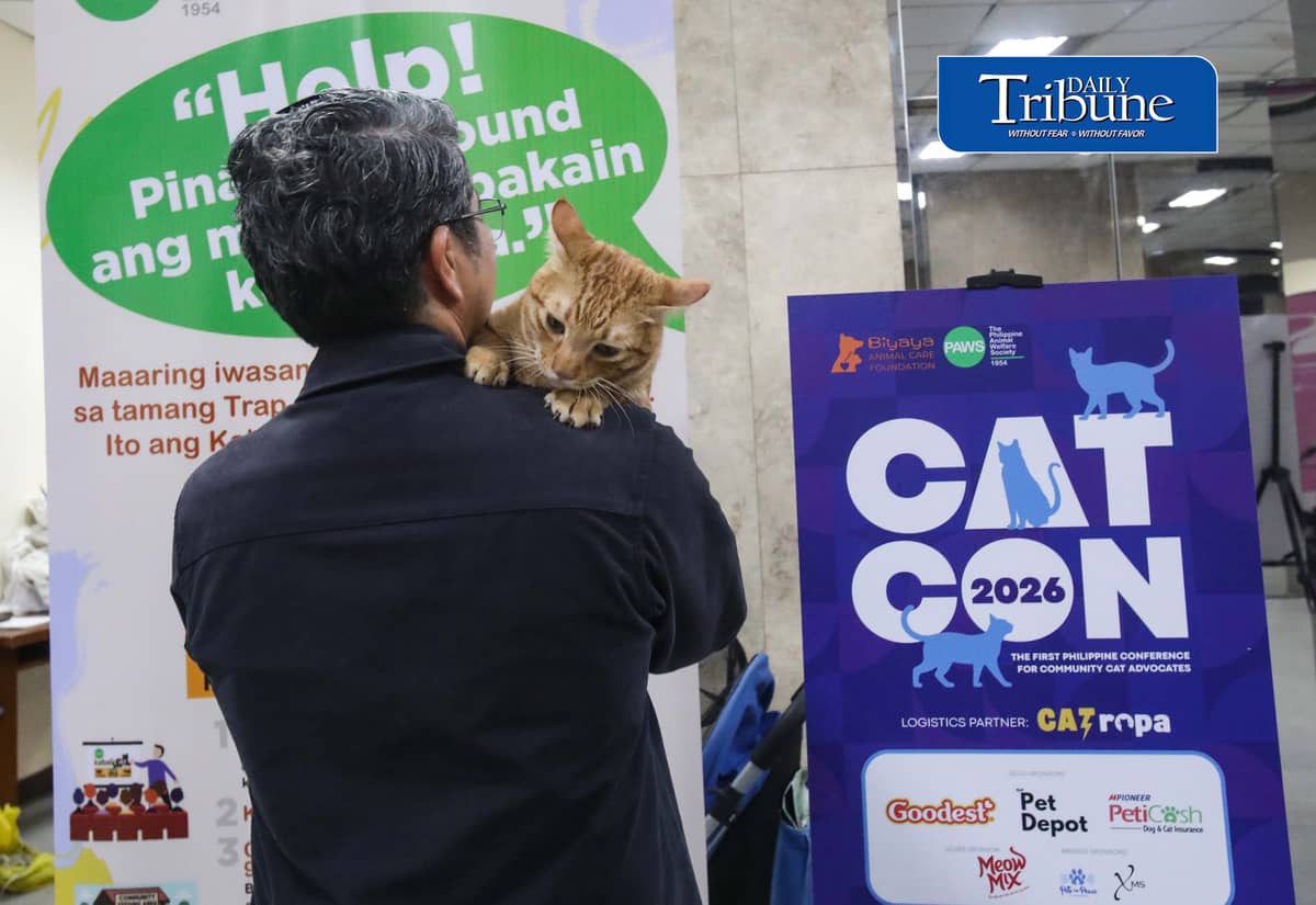 (July 18 2026)  At the event a personnel hold a cat name Cosmos and two other Bazu and Rajan they found them near flower pot and at the trash can those cats is for adoption, during the CATCON 2026 attended by the Veterinarians lawyers,  Animal welfare advocates leaders and caregivers, the event tackled on how compassion and law work together to create safer for communities for both people and cats. The event also showcases rescued cats up for adoption from attending participants, held at the MERALCO head office in Pasig. July 18, 2026. Photo/Analy Labor
