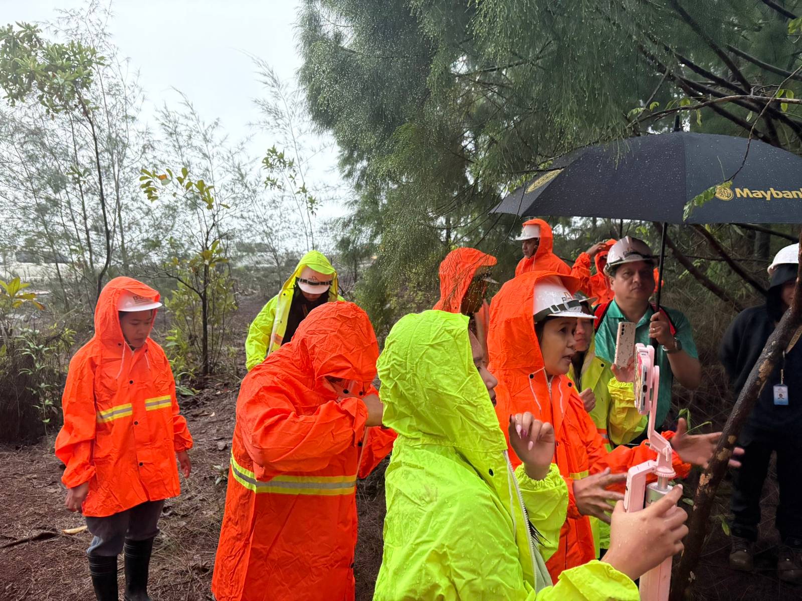 Despite heavy rains, members of the media step out of their vehicles to inspect the fully rehabilitated forest area of Berong Nickel Corporation in Quezon, Palawan, documenting the progress of the site’s restoration efforts and the return of vegetation in previously mined areas.