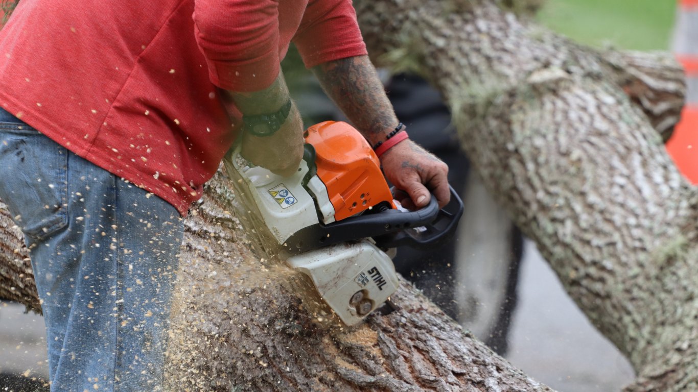 DENR halts tree-cutting