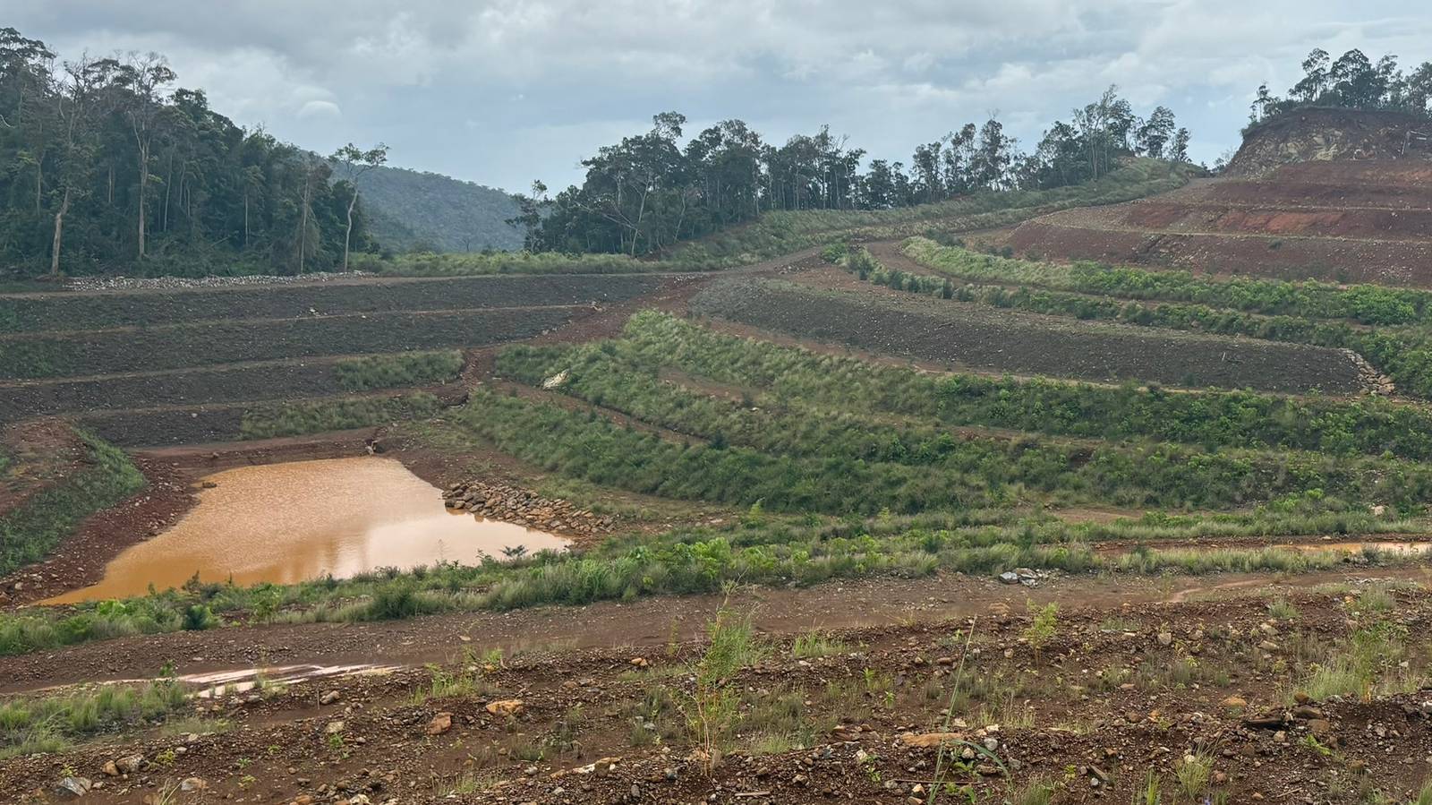 Citinickel Mining Corporation’s siltation ponds help manage water runoff at the mining site by supporting proper drainage and sediment control measures, preventing potential impacts on surrounding areas while maintaining environmental protection standards.