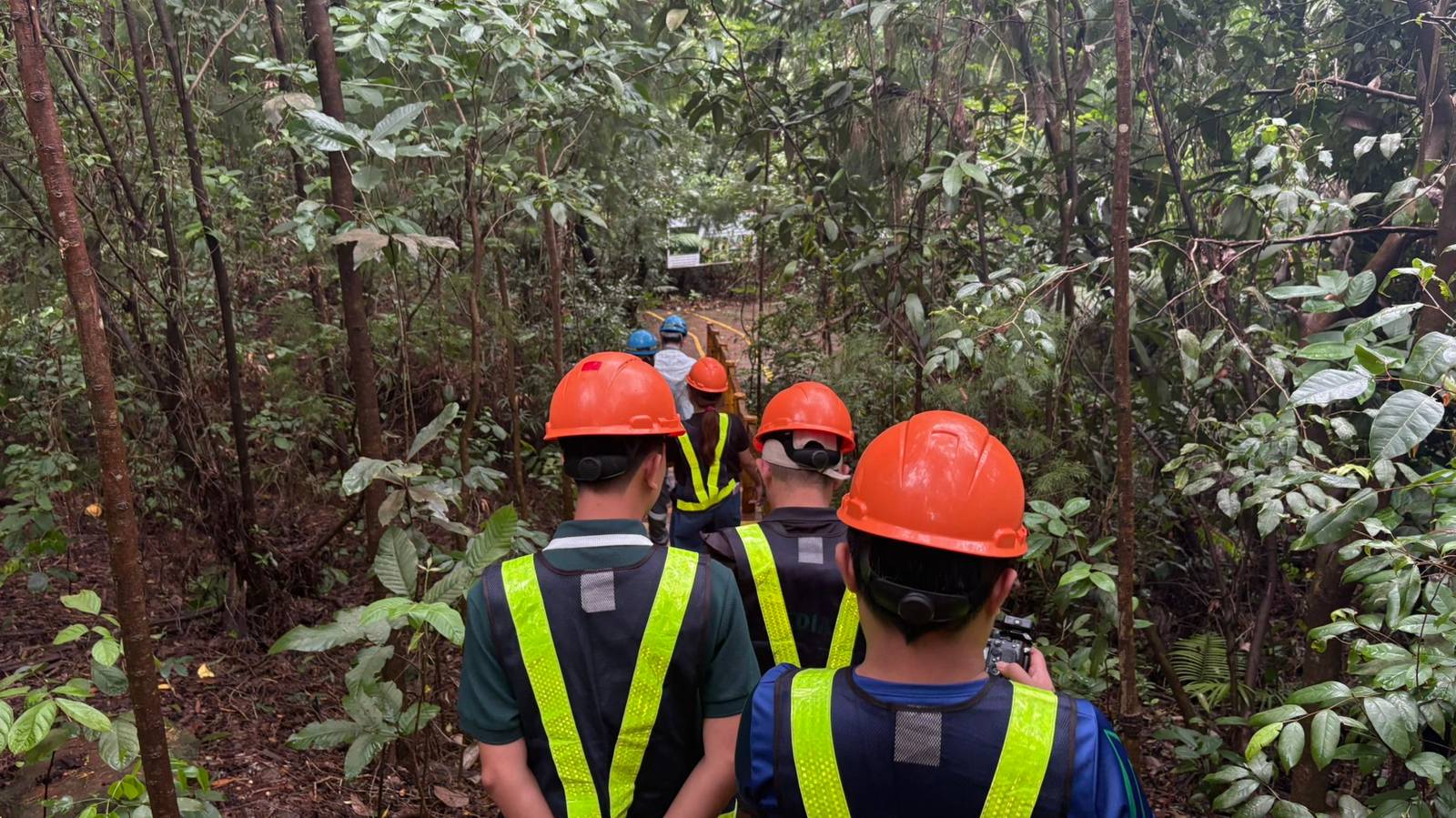 The Ecosystem Restoration Laboratory in Rio Tuba, Palawan, where rehabilitation initiatives focus on nurturing native plant species and supporting the restoration of mined areas through research, propagation, and sustainable environmental practices.