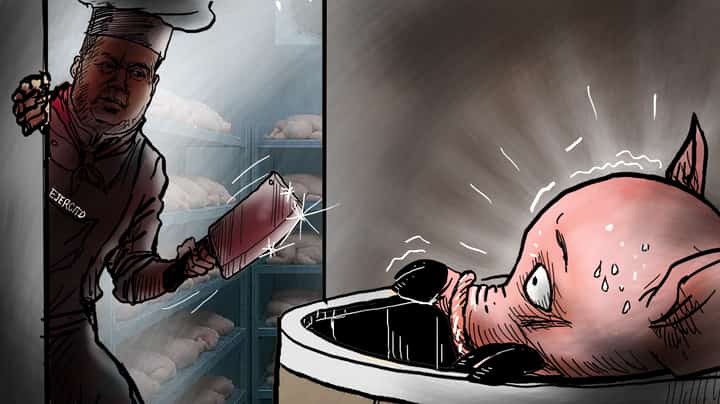 Bicam’s porky days numbered