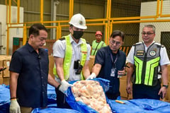 Misdeclared frozen goods worth P23M seized