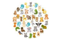 Animals around the world