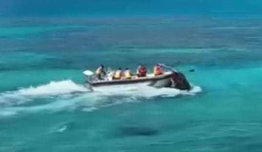 Solons condemn Chinese over attack on Filipino sailor in Ayungin shoal