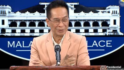 Panelo